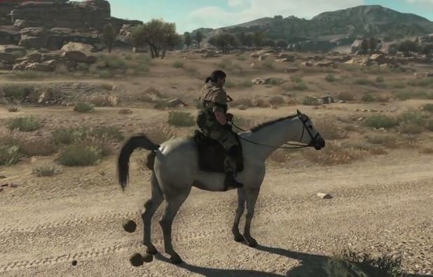 article_post_width_mgs.JPG