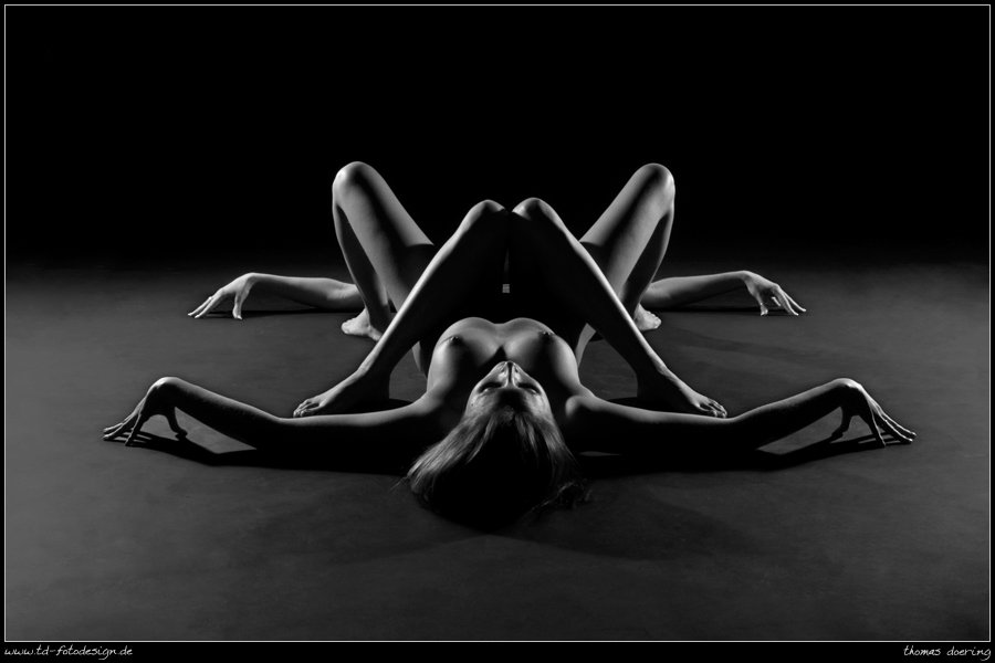 Spider_by_TD_Fotodesign.jpg