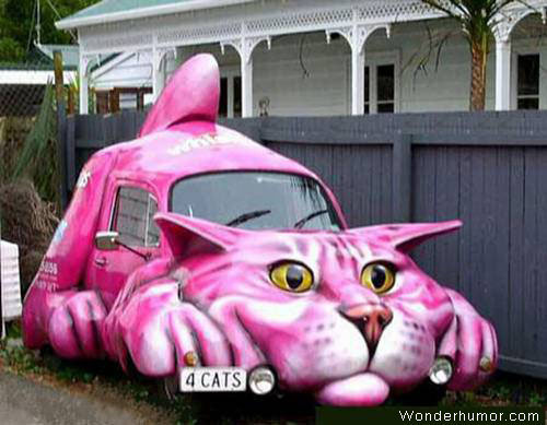 funny_car_pictures_11-s500x389-16620-580