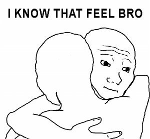 I_know_that_feel_bro.jpg