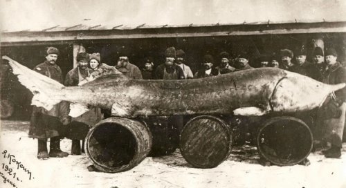 1377786190_giganty-3.jpg