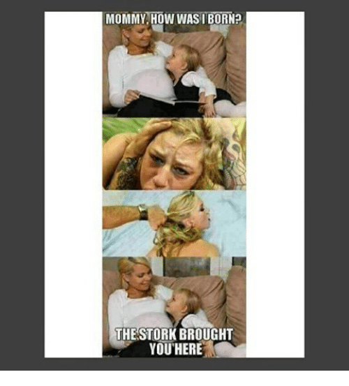 mommy-how-was-i-born-the-stork-brought-y