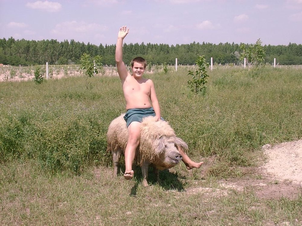 there_really_are_some_oddballs_on_russia