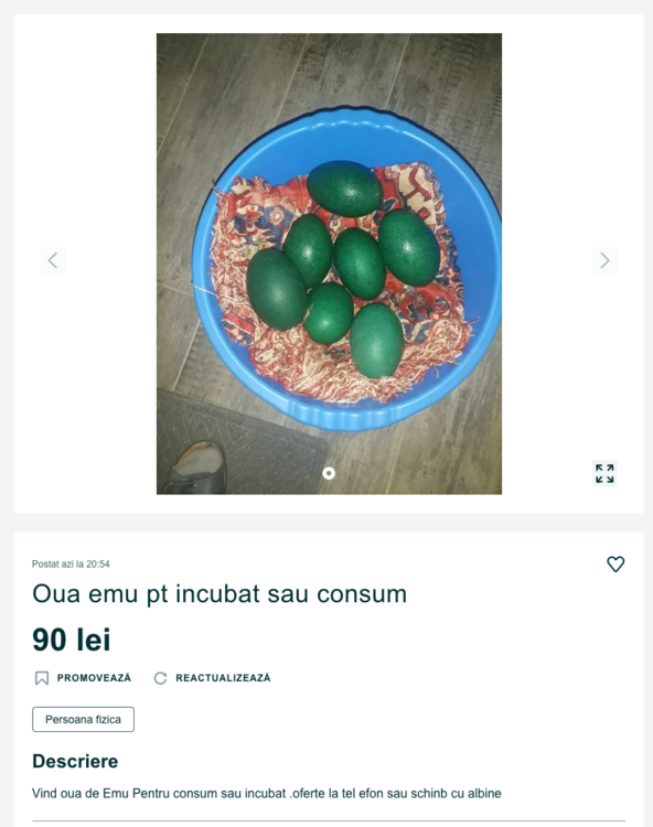 Screenshot 2022-03-03 at 22-04-28 Oua emu pt incubat sau consum Horea • OLX ro.png